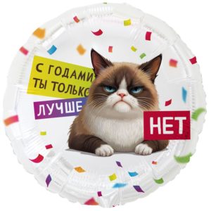 Круг, с годами ты только лучше (нет), фольгированный шар