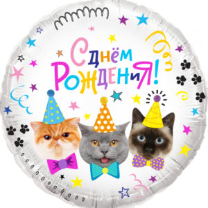 Шар круг, Котики, С Днем Рождения!,