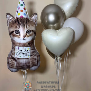 Фольгированный шар Котенок в колпаке и фонтан из 5 шаров